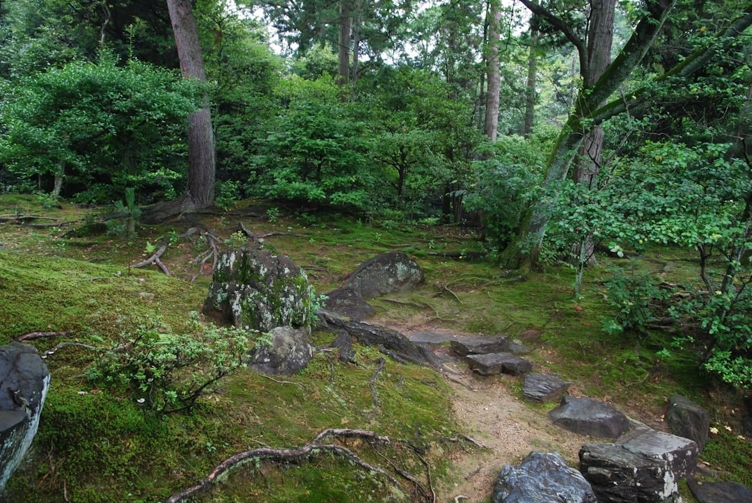 549-wjyirdg-wle.jpg
